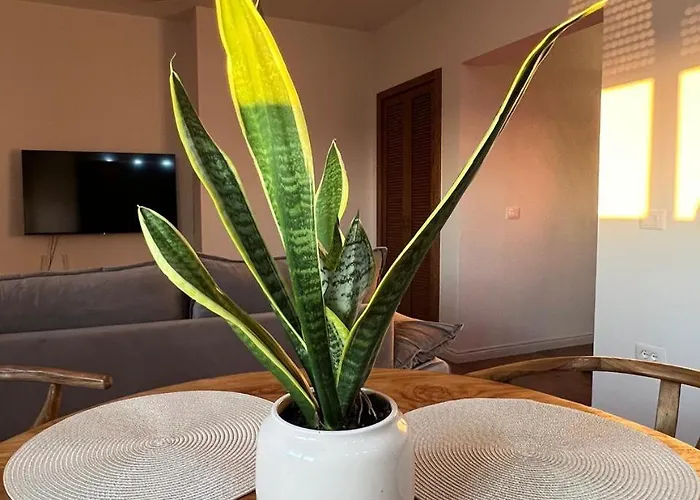 The Heart Of By Zheni Apartment Tirana