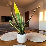 The Heart Of By Zheni Apartment Tirana