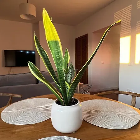 The Heart Of By Zheni Apartmán Tirana